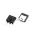 IPS060N03L G - PG-TO251-3 - MOSFET N-CH 30V 50A TO251-3